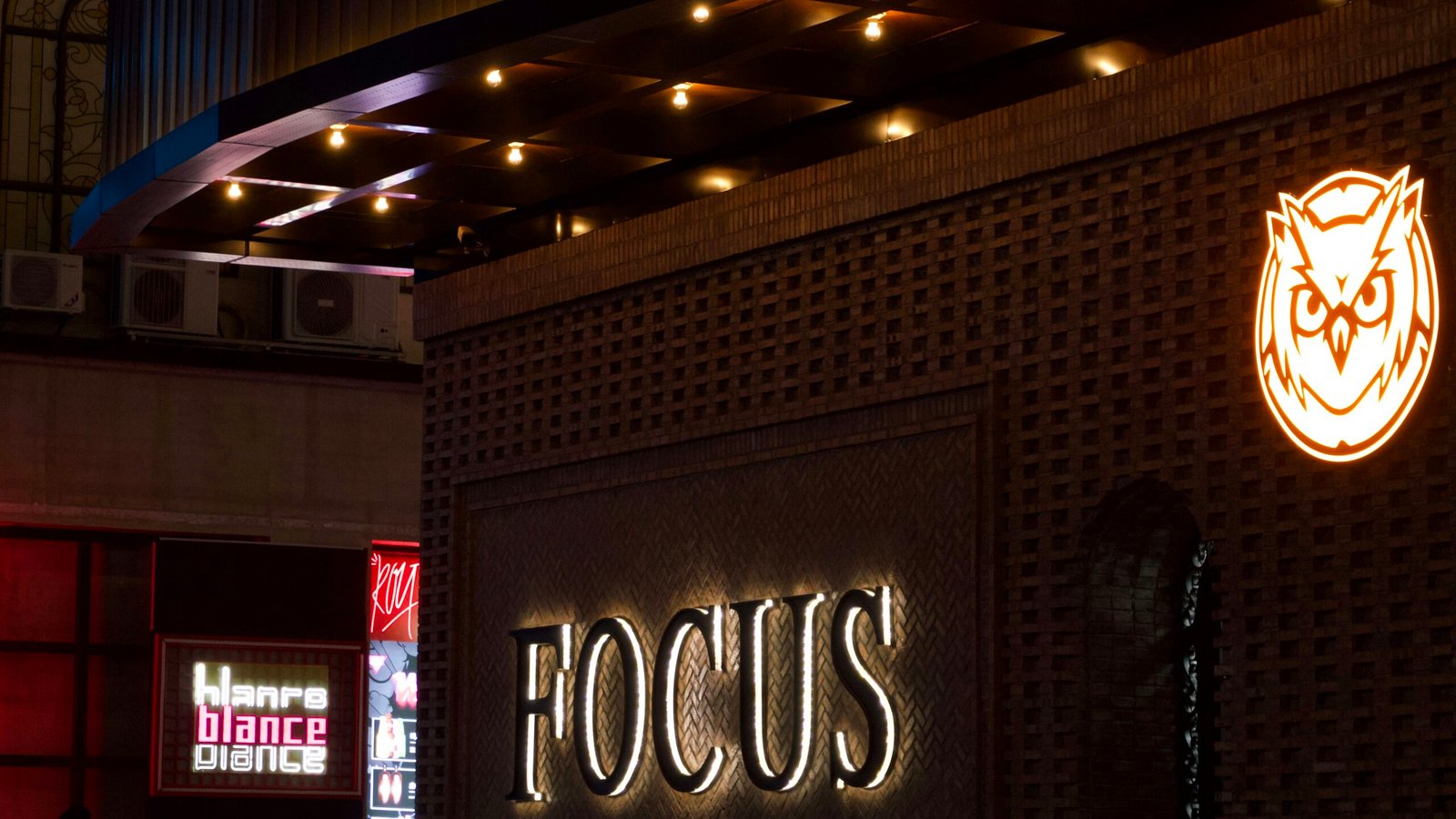 Boost Your Focus and Vitality: Essential Habits and Products